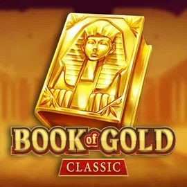 game logo by Playson on drago-bet.co.nl
